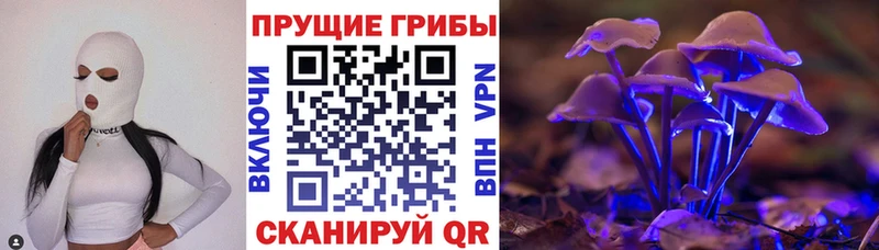 Псилоцибиновые грибы ЛСД  купить   Володарск 